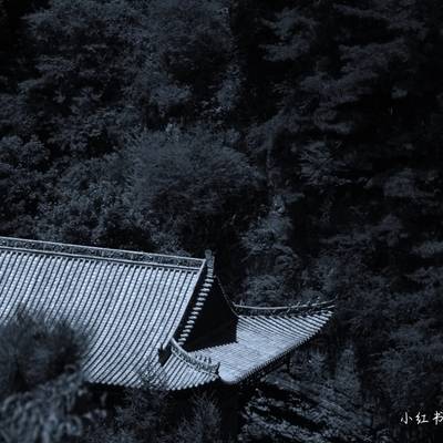 黑白模特