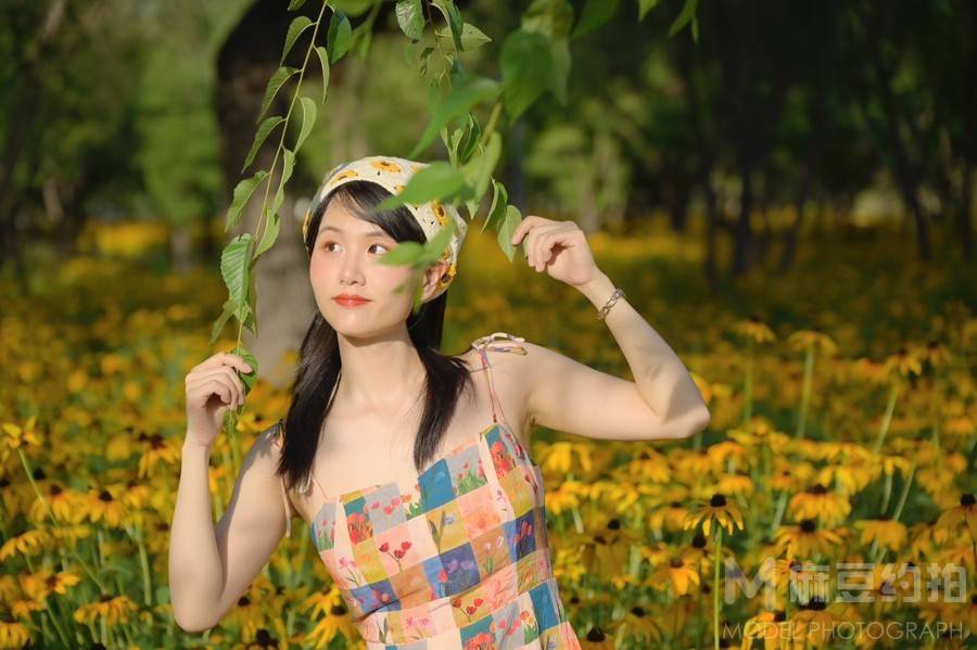 清新模特