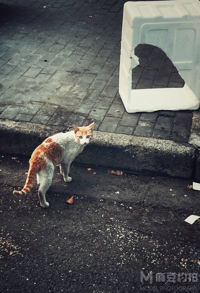 复古模特