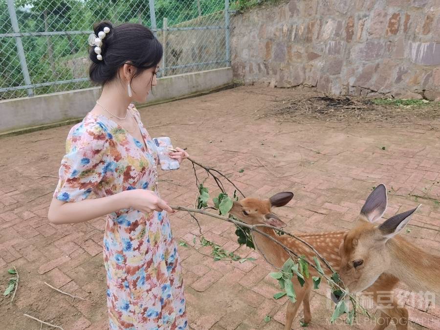 韩系模特