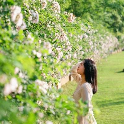 清新模特
