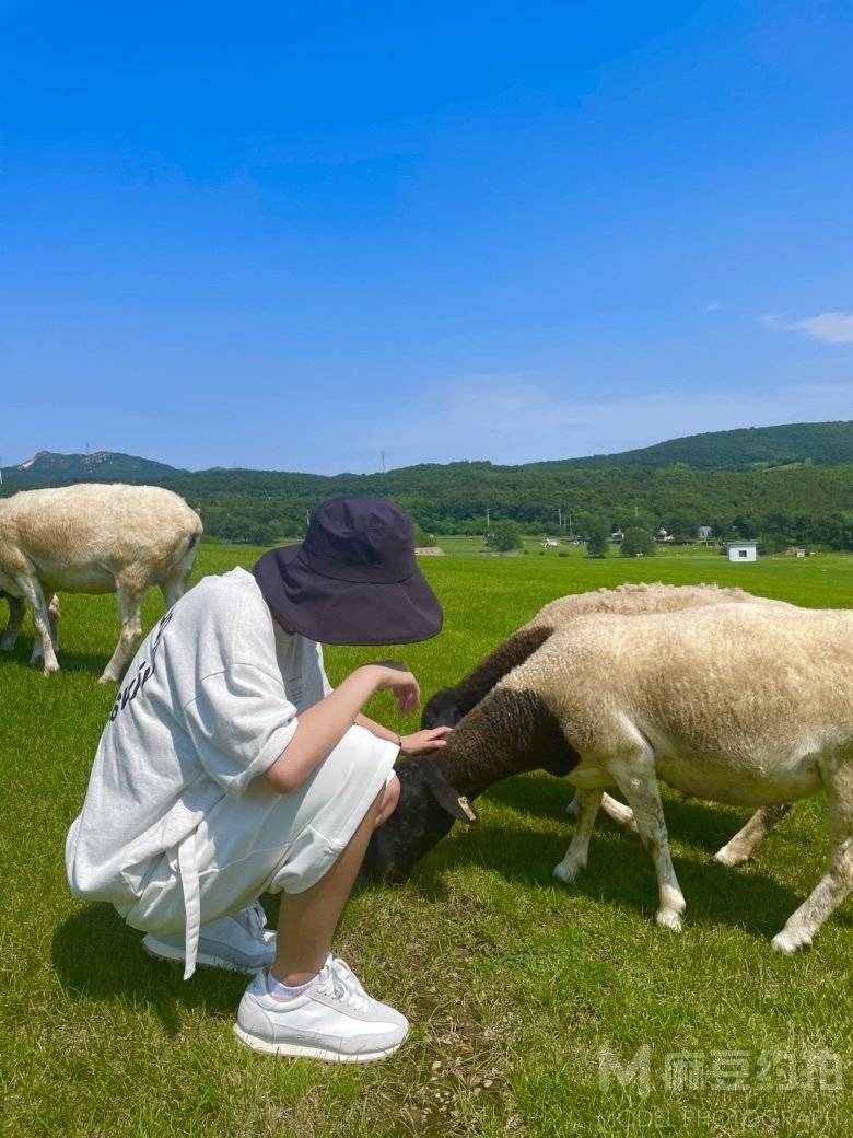 韩系模特