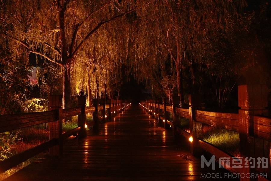 夜景模特
