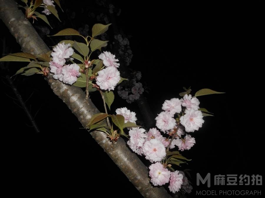 纪实模特
