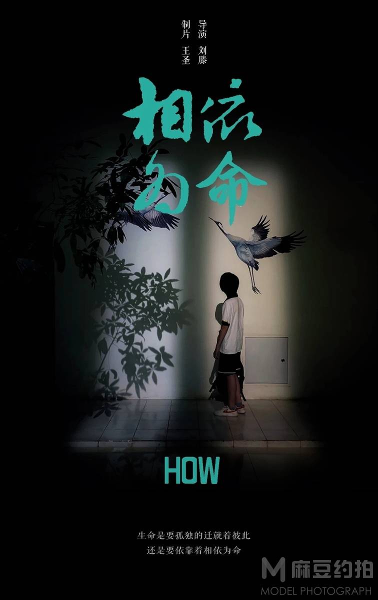 胶片模特