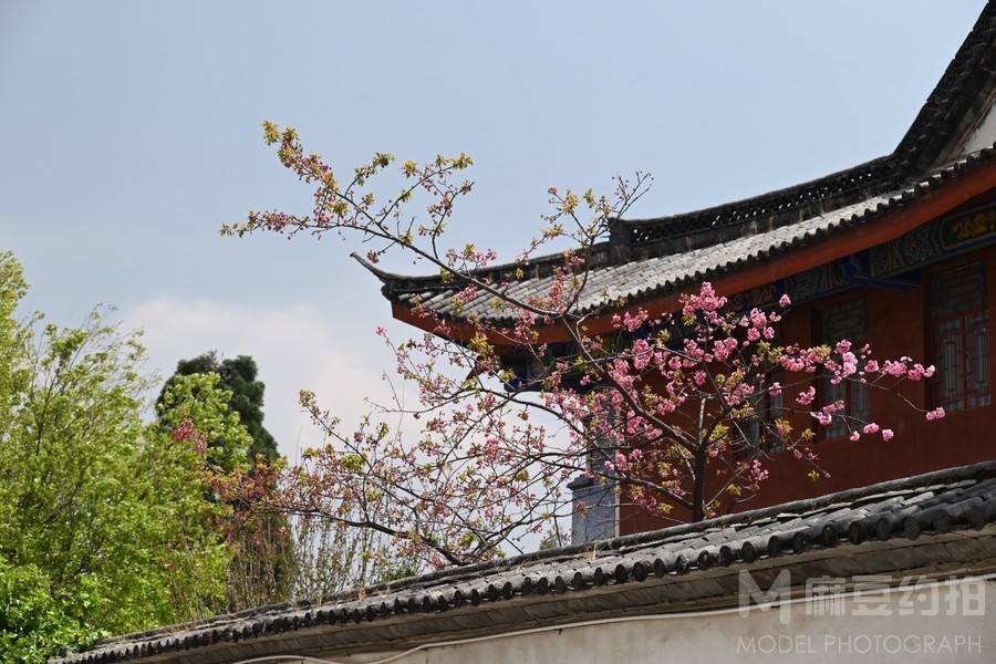 纪实模特