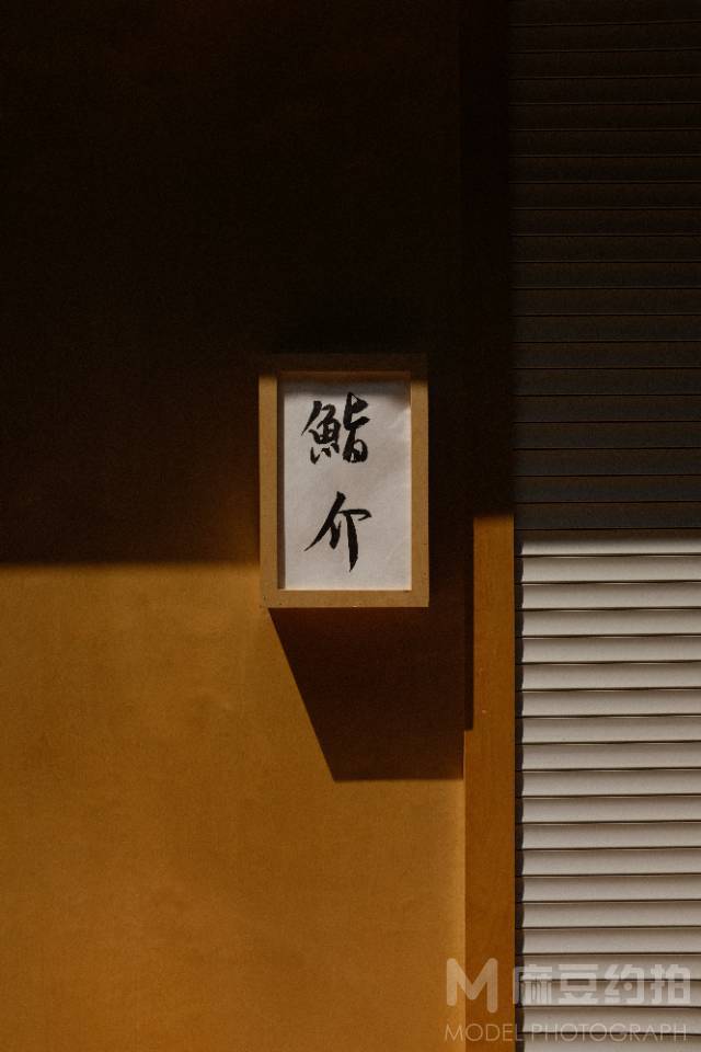 宝丽来模特