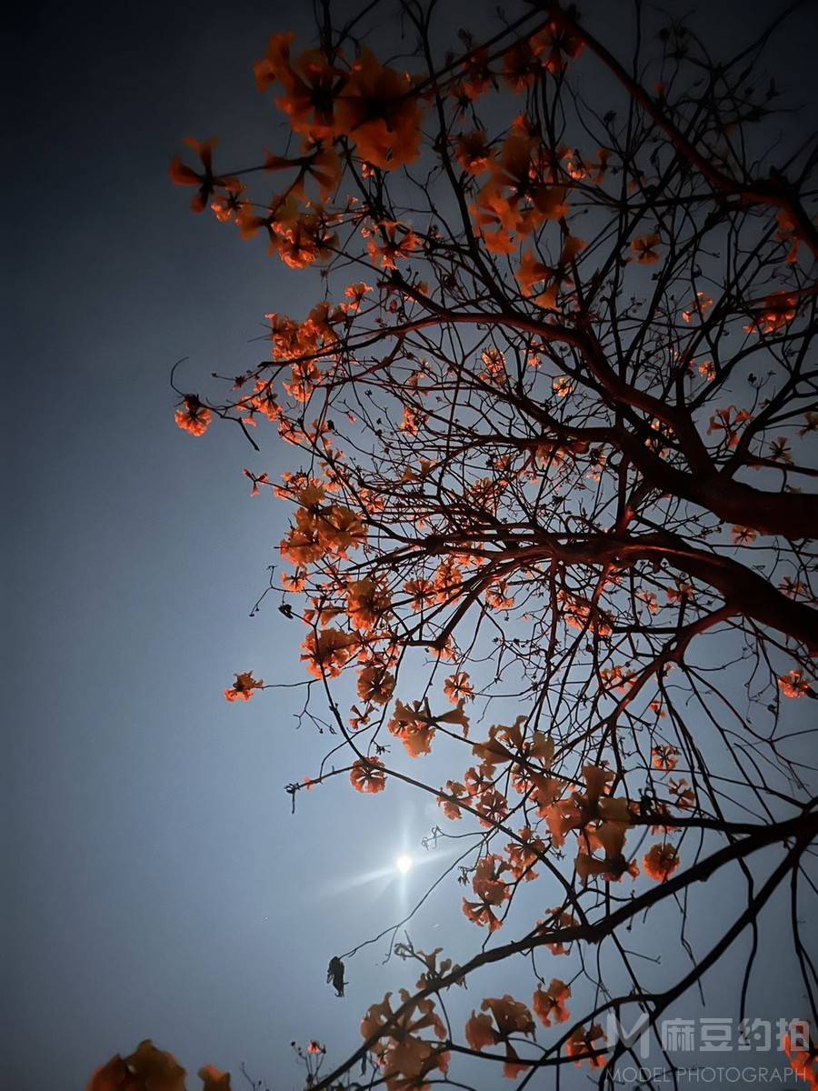 夜景模特