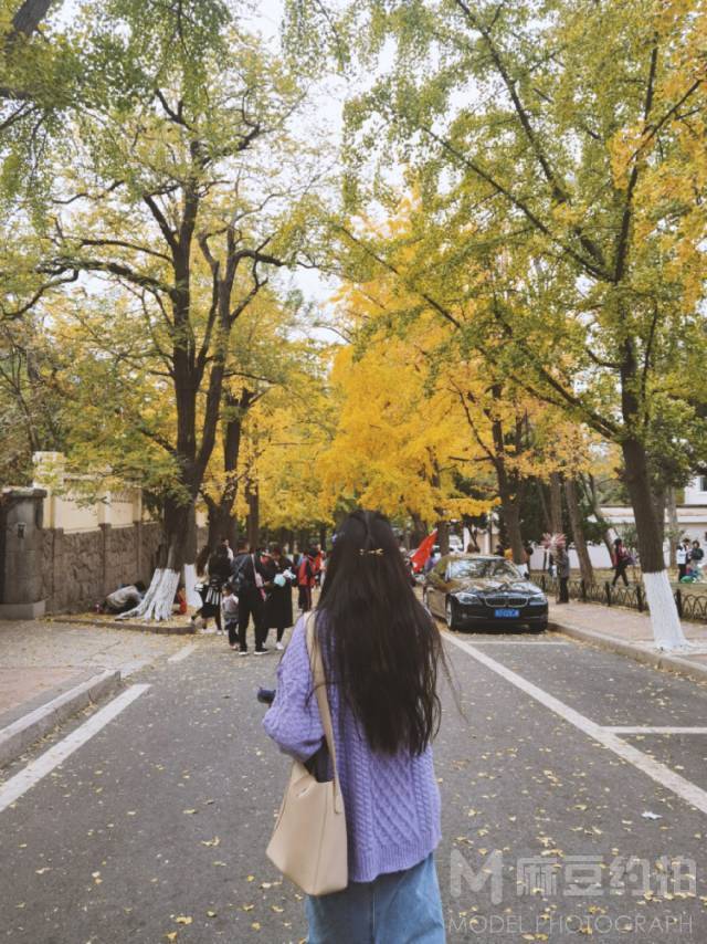 校园模特