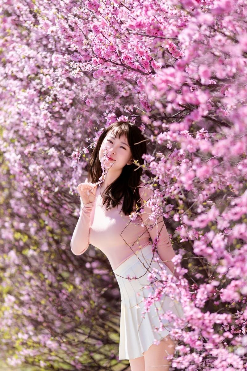 清新模特