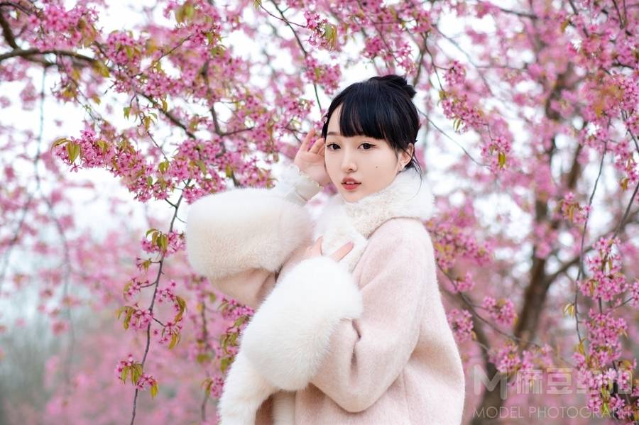 清新模特