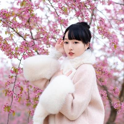 清新模特