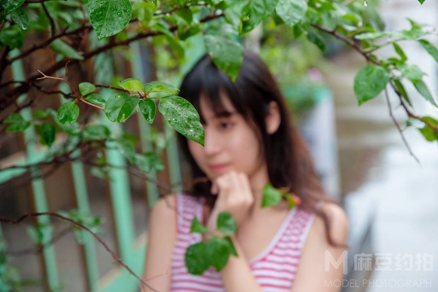 清新模特