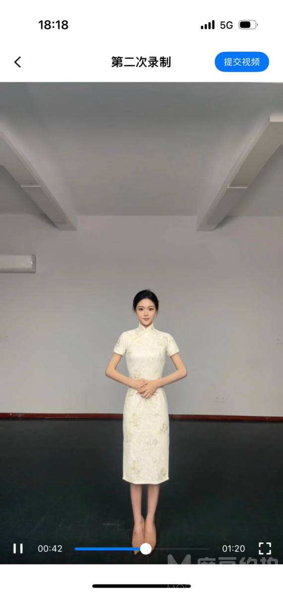胶片模特