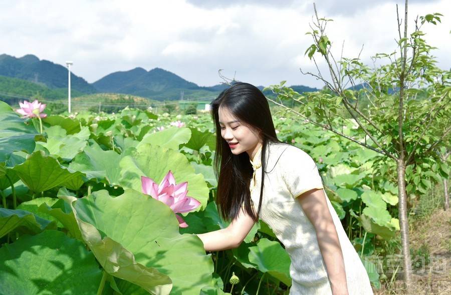 淘宝模特