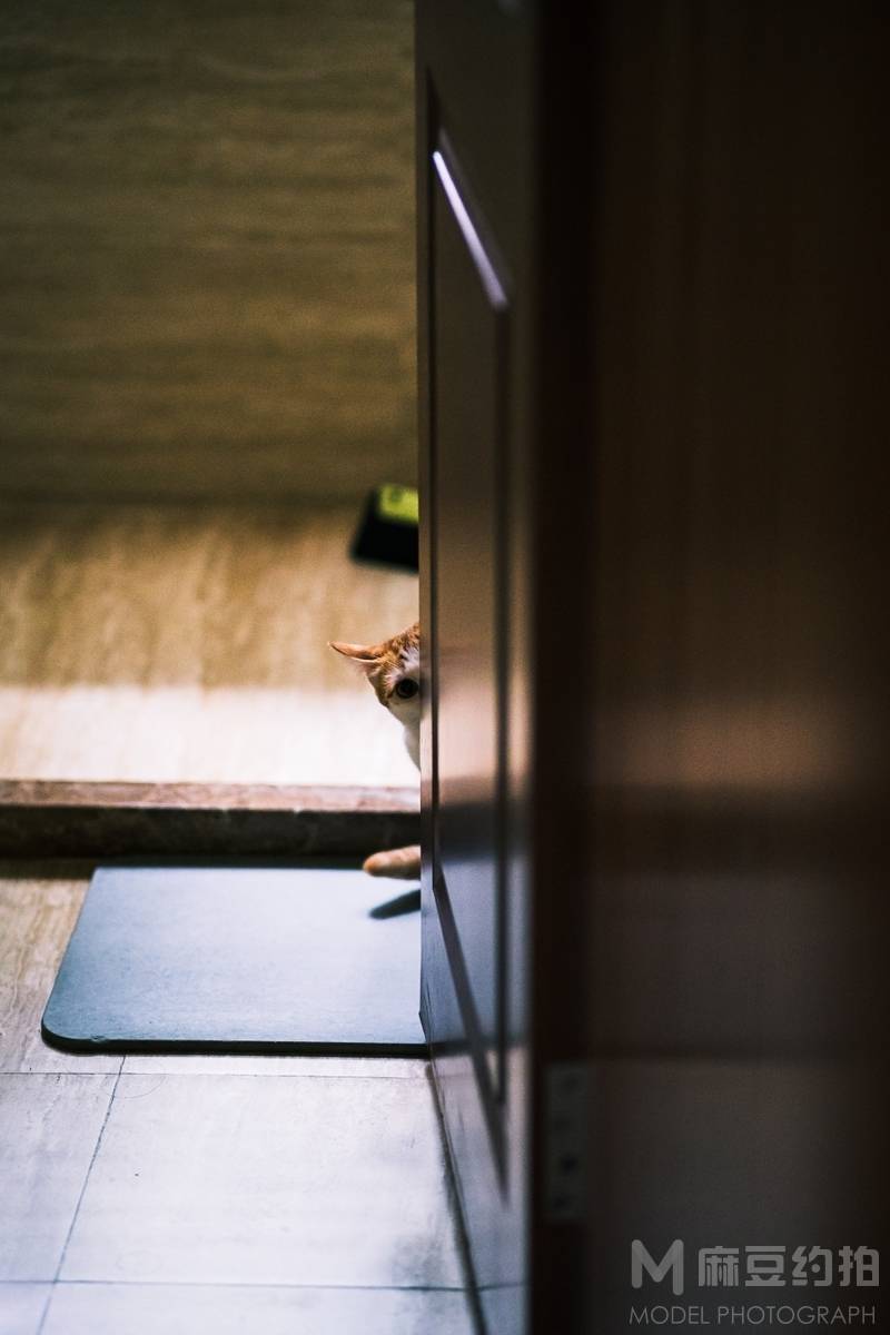 纪实模特