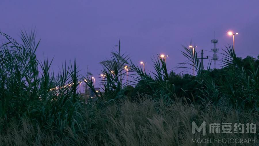 夜景模特