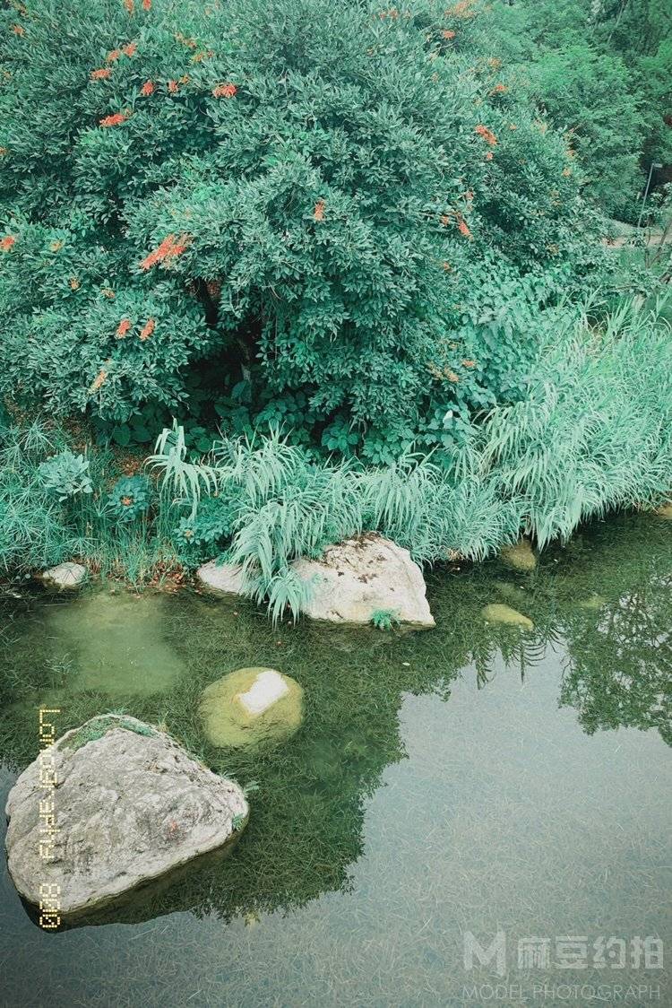 胶片模特