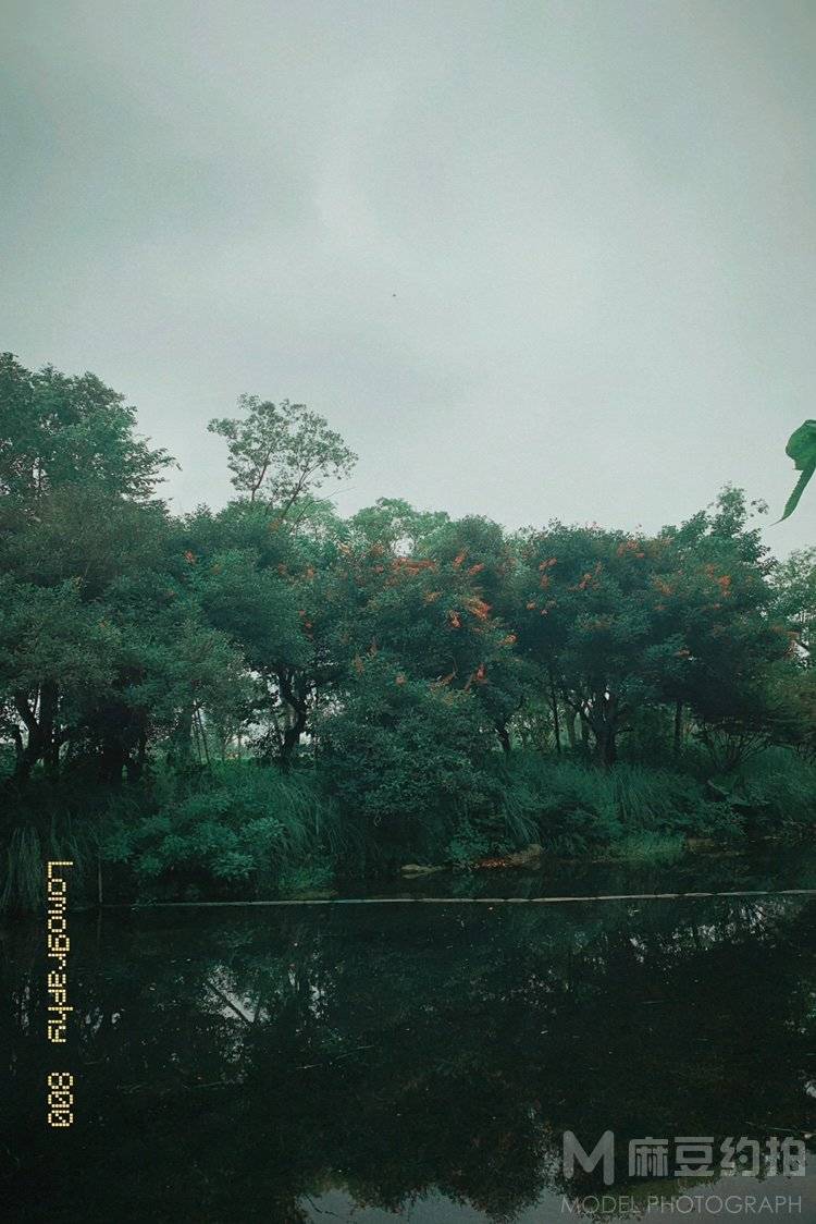 胶片模特