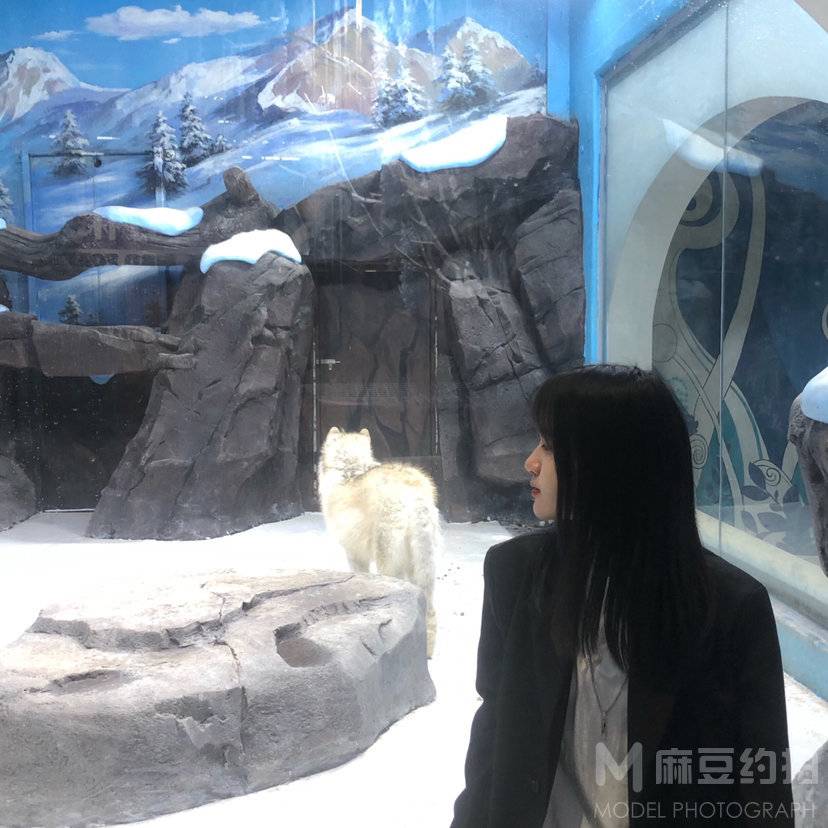商务模特