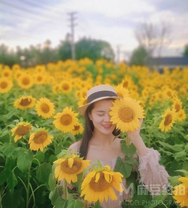 清新模特