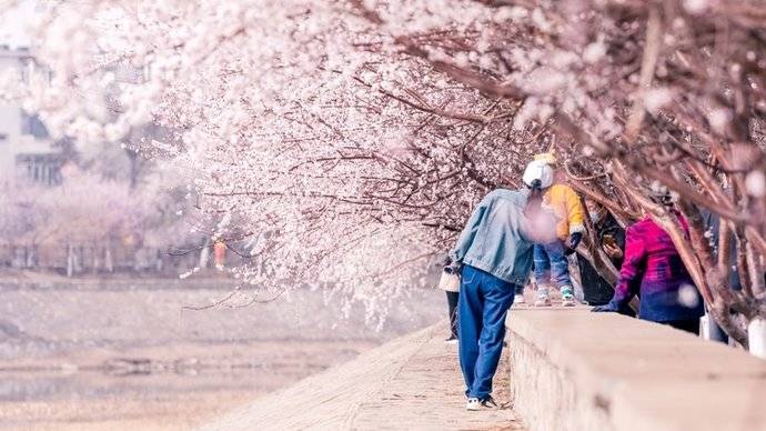 天津桃花堤对面的河沿