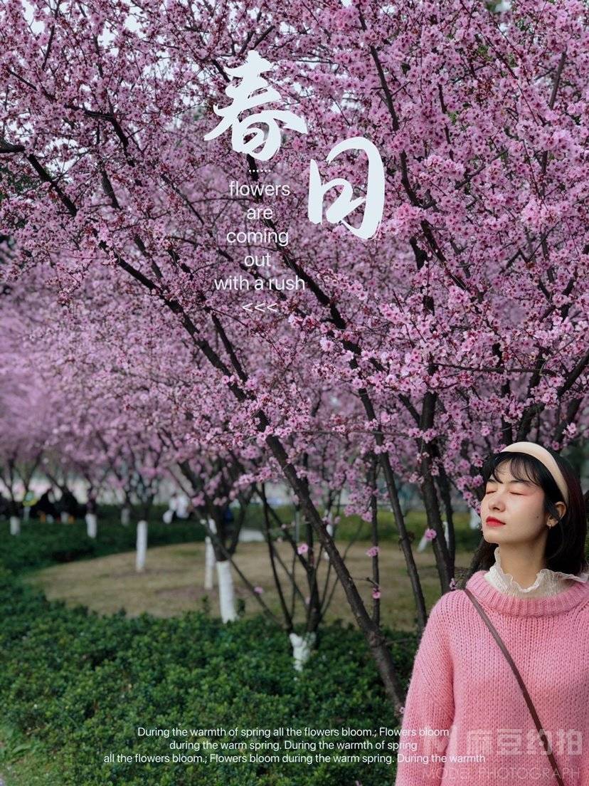 淘宝模特