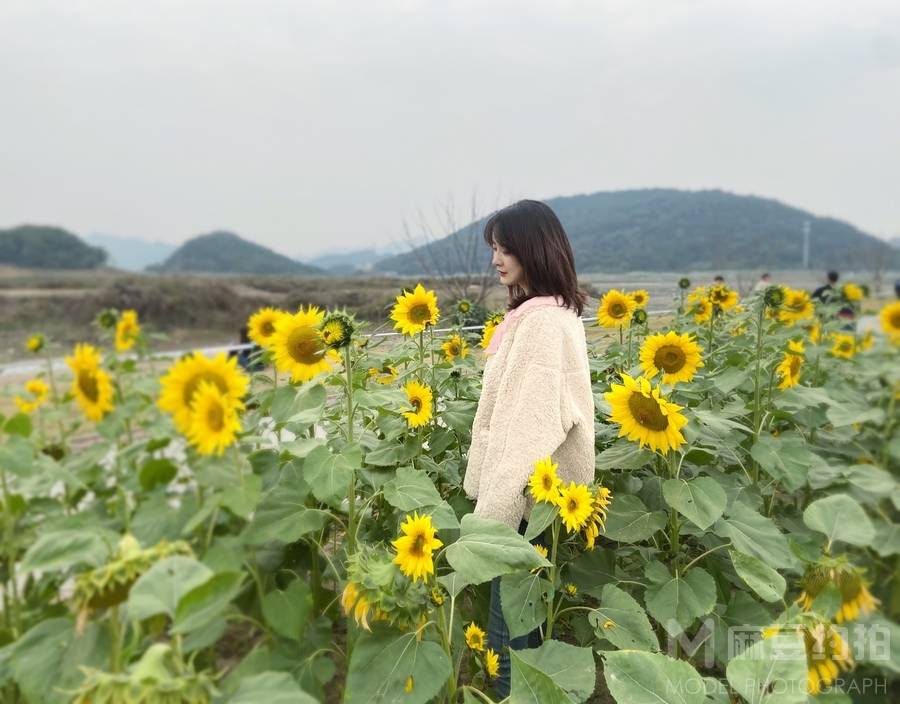 韩系模特