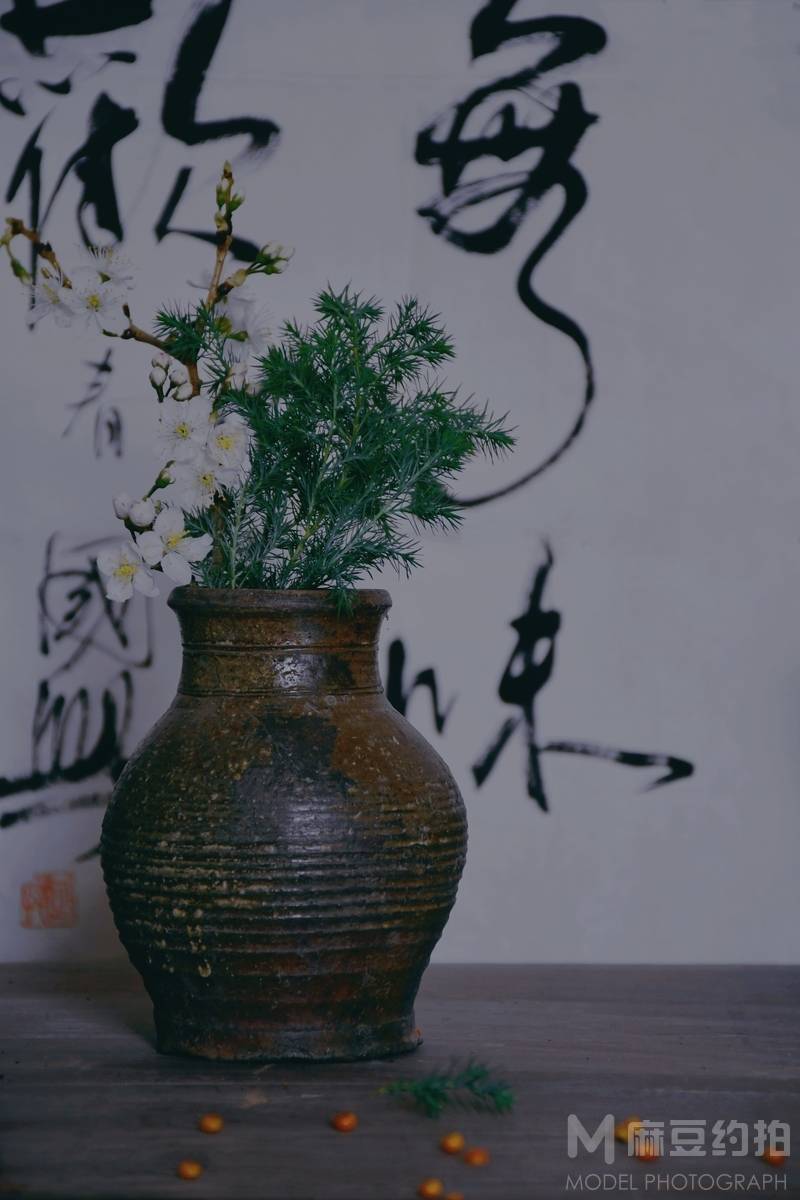 纪实模特