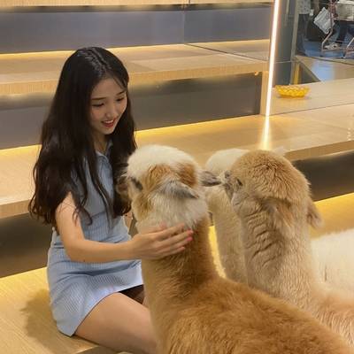 韩系模特