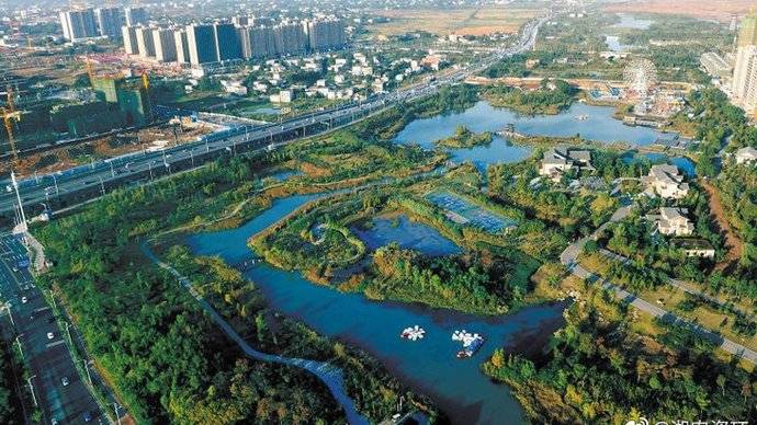 洋湖湿地公园