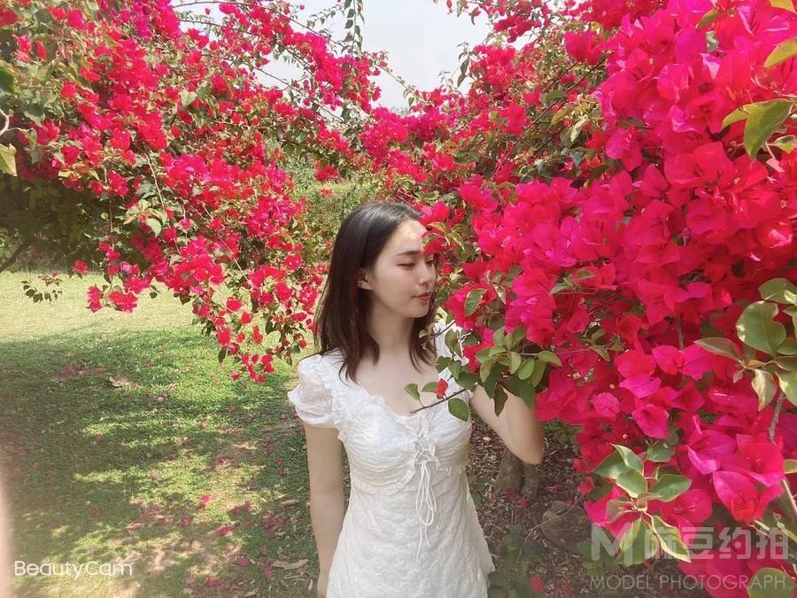 清新模特
