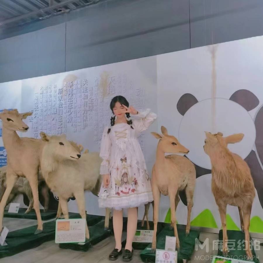 韩系模特
