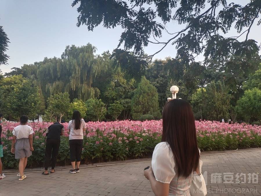 淘宝模特