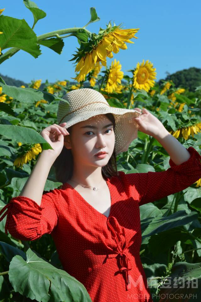 清新模特