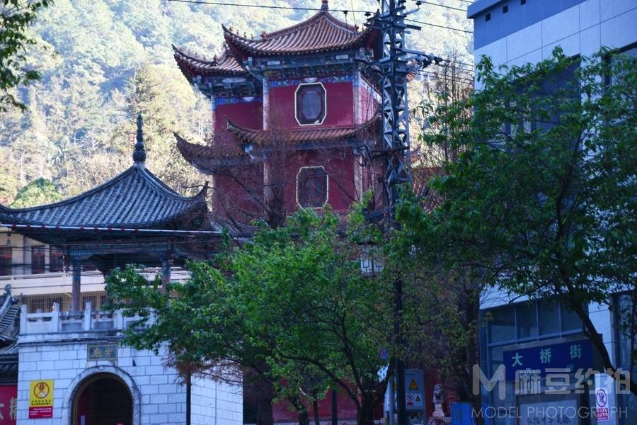 纪实模特