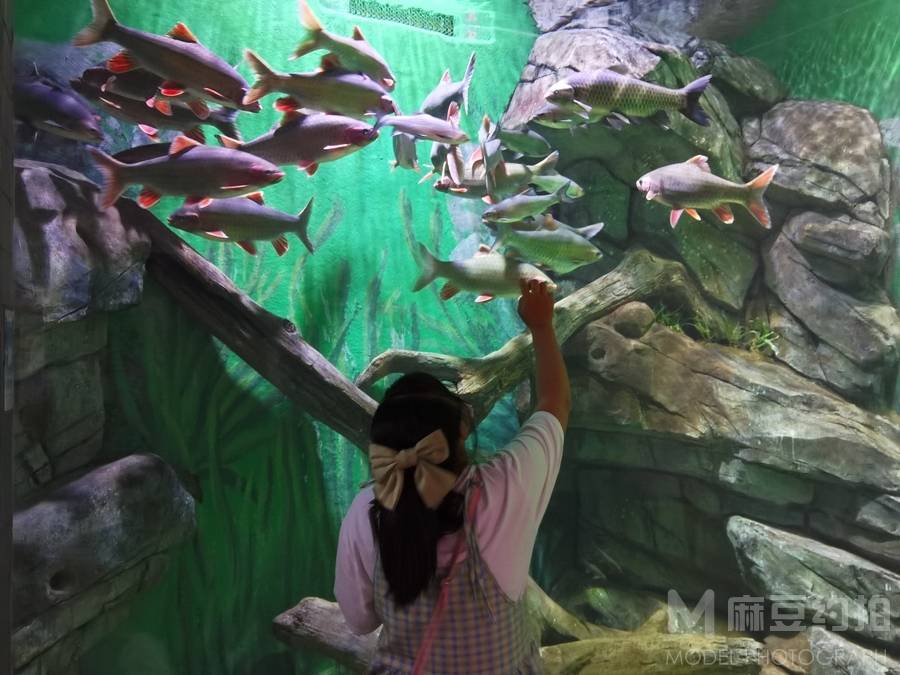清新模特
