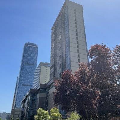 宝丽来模特