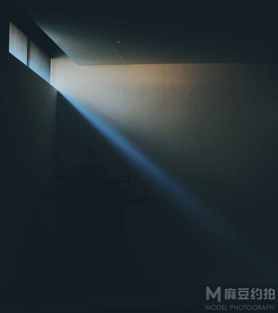 胶片模特