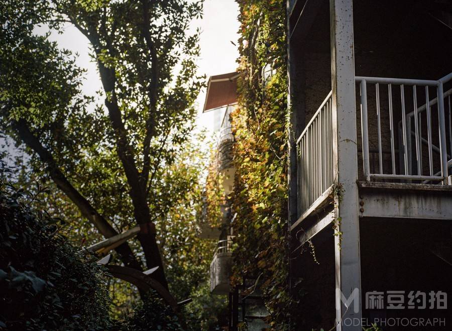 胶片模特