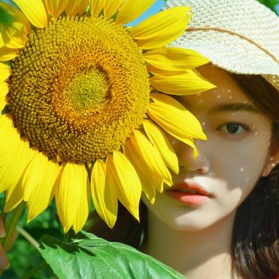 清新模特