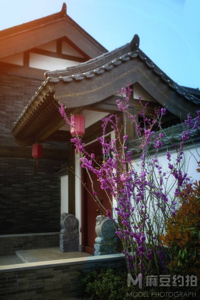 民国模特