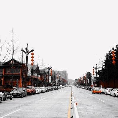 黑白模特