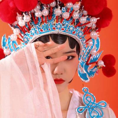 宝丽来模特