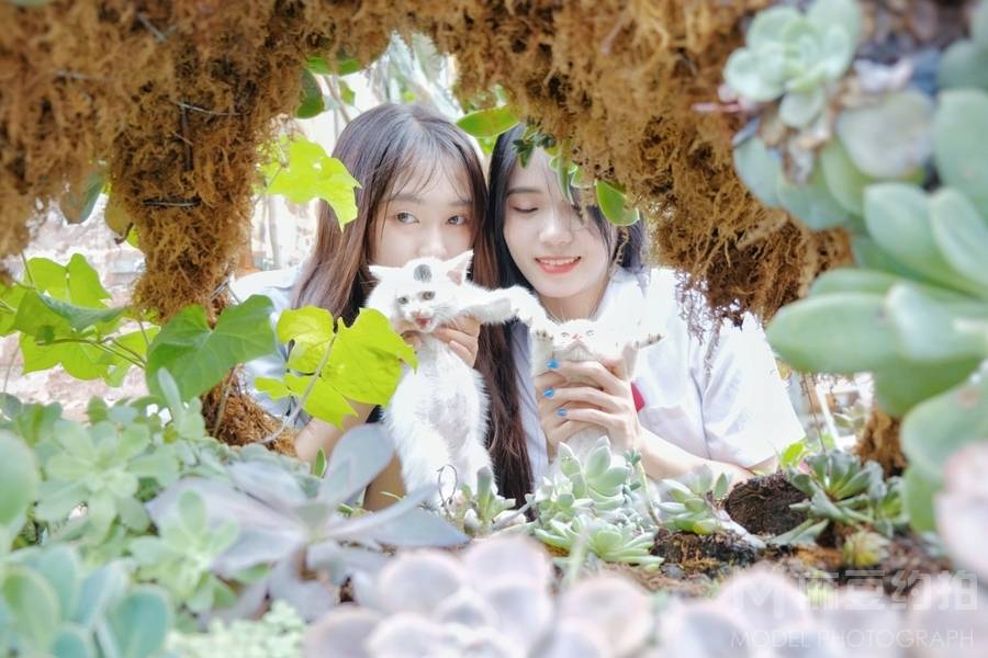 少女模特
