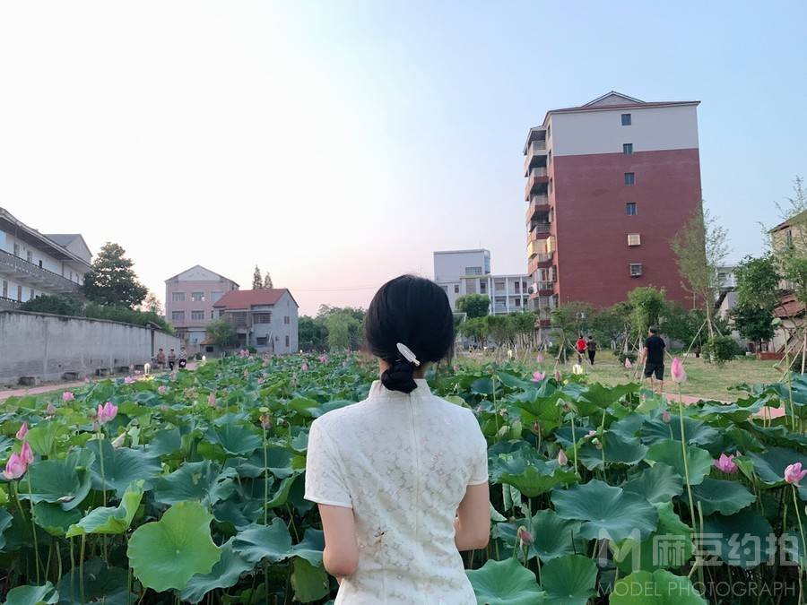 清新模特