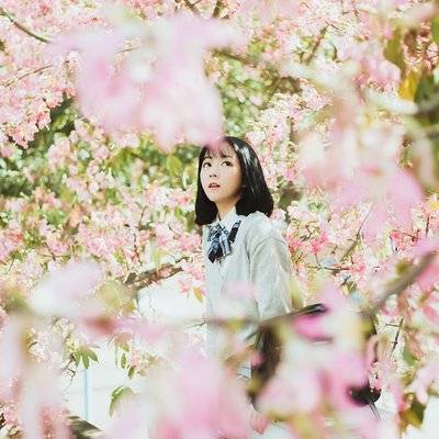 清新模特