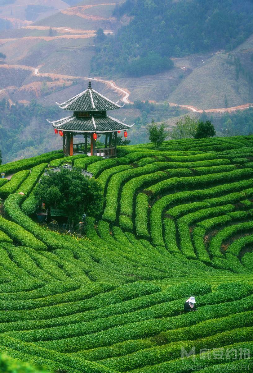 纪实模特