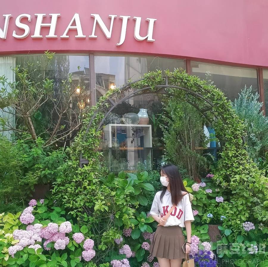 清新模特