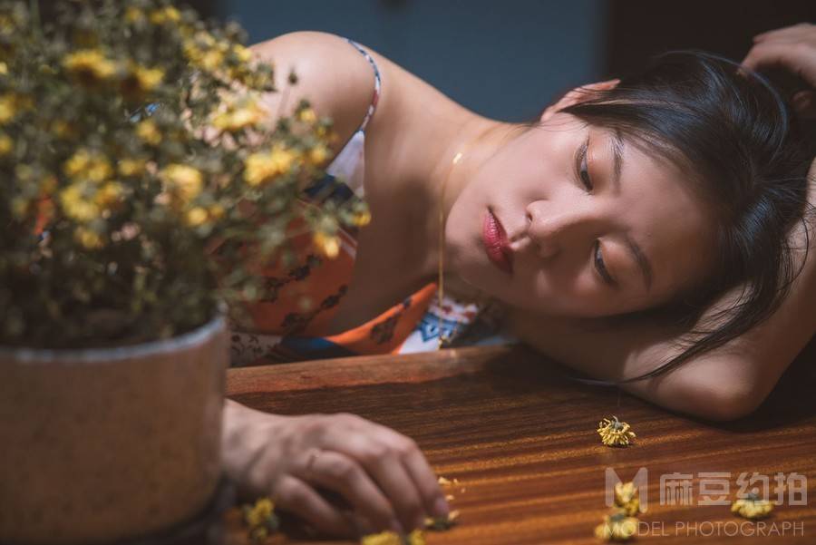 胶片模特